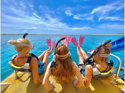 OPG のギャラリー