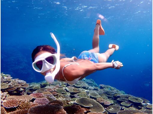 石垣島ダイビングショップABCdive のギャラリー