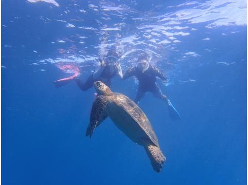 南ぬ島 DIVE SITEの割引プラン