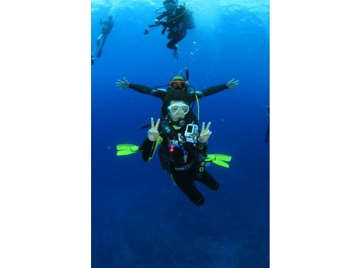 ダイビングサービス ピーフィッシュ(Diving Service P-FISH) のギャラリー