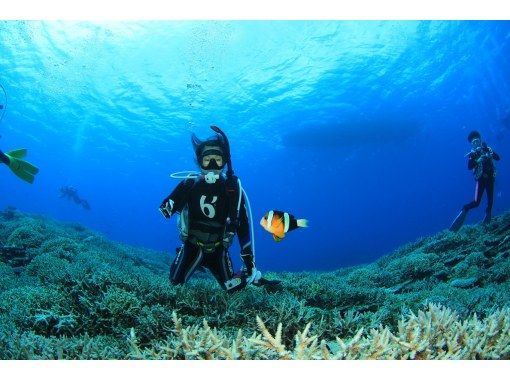 ダイビングサービス ピーフィッシュ(Diving Service P-FISH) のギャラリー