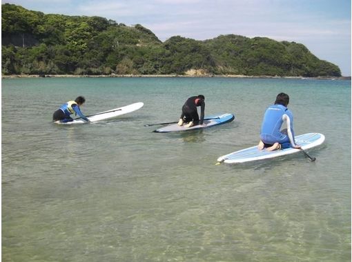 白浜マリーナの割引プラン