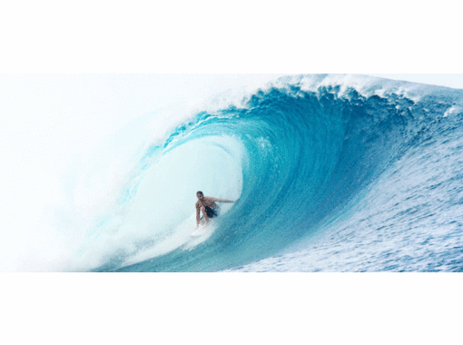 ロイスサーフ Royce Surf の予約 アクセス 営業時間 アクティビティジャパン ロイスサーフ Royce Surf の予約 アクセス 営業時間 アクティビティジャパン