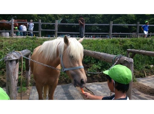 ふれあい乗馬楽園　クローバー牧場 のギャラリー