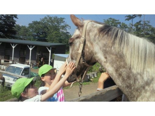 ふれあい乗馬楽園　クローバー牧場 のギャラリー