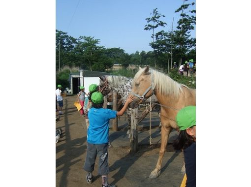 ふれあい乗馬楽園　クローバー牧場 のギャラリー