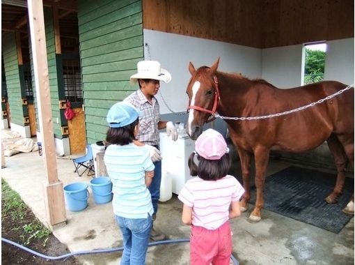 ふれあい乗馬楽園　クローバー牧場 のギャラリー