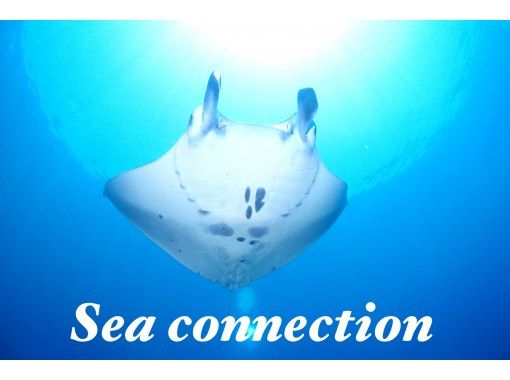 Sea connection のギャラリー
