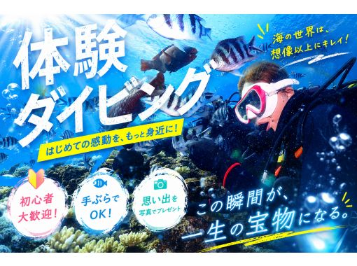 ダイビングショップ ハイビスカスの予約・アクセス・営業時間