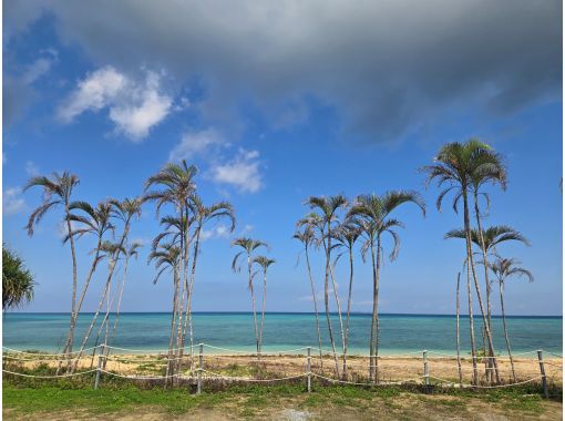 On the Beach CAF&Eacute; のギャラリー
