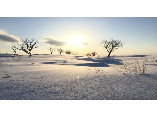 シンラ のギャラリー