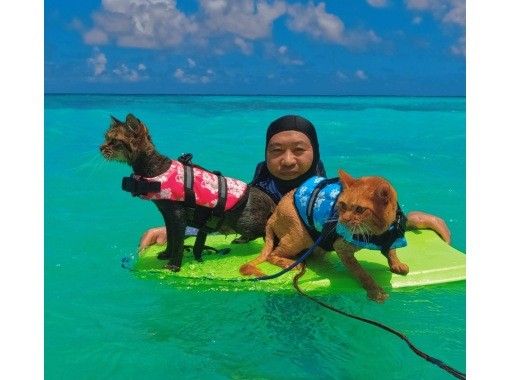 Kings Sea Road のギャラリー