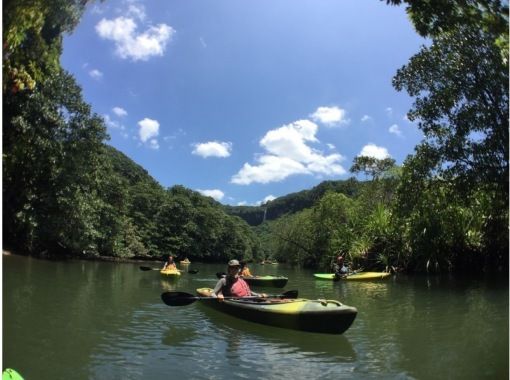 西表おさんぽ気分(Iriomote Kayak Tour) のギャラリー