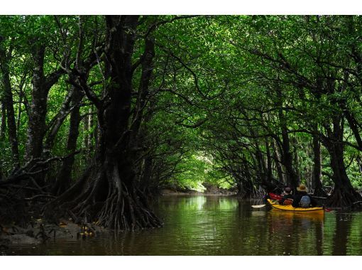 バジャウトリップ西表フィールドサービス のギャラリー