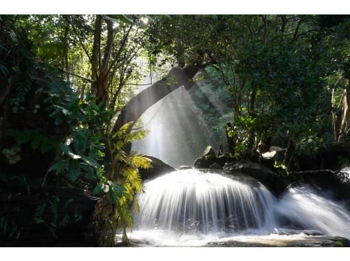 バジャウトリップ西表フィールドサービス のギャラリー