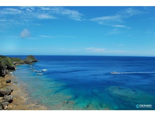 沖縄ダイビングセンター(OKINAWA DIVING CENTER) のギャラリー