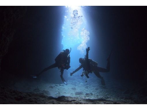 沖縄ダイビングセンター(OKINAWA DIVING CENTER) のギャラリー