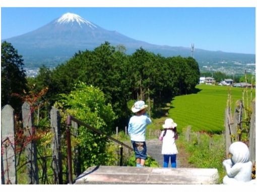 (有)ヤマタカ櫻井製茶富士山Teaパーク のギャラリー