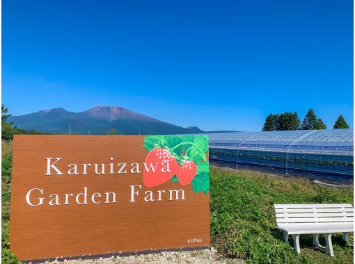 軽井沢ガーデンファームいちご園　［Karuizawa Gardenfarm Strawberry Picking］ のギャラリー