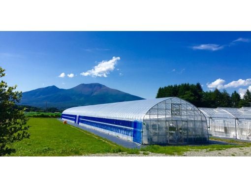 Lycee HoneyComing 前園 Clarissa 皐　桃井いちご 🖤🖤