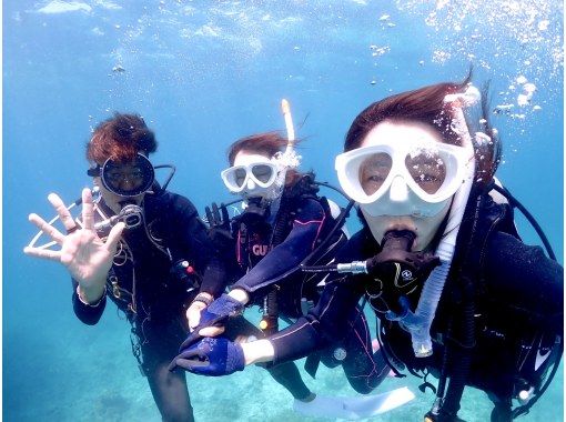 石垣島ダイビングサービス　ブルーシード のギャラリー