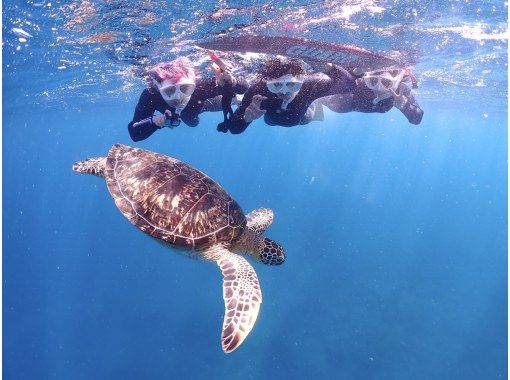 石垣島ダイビングサービス　ブルーシード のギャラリー