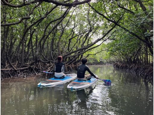 まるひで石垣島｜北部SUP・カヤックツアー のギャラリー