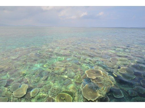 まるひで石垣島｜北部SUP・カヤックツアー のギャラリー