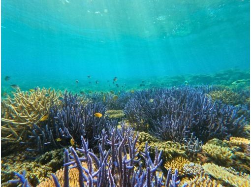 まるひで石垣島｜石垣島SUP・カヤックツアー のギャラリー