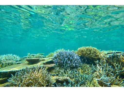 まるひで石垣島｜石垣島SUP・カヤックツアー のギャラリー