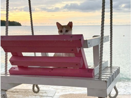 幸喜ビーチマリン SOL marine のギャラリー