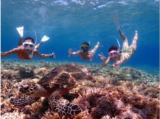 ブルーラグーン石垣島の割引プラン