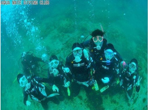 アクアメイトダイビングクラブ Aqua Mate Diving Club の予約 アクセス 営業時間 アクティビティジャパン