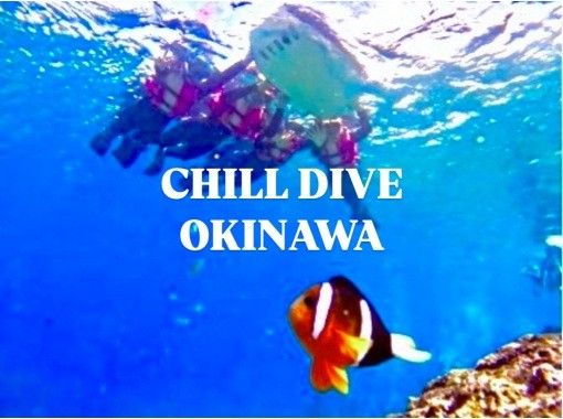CHILL DIVE （チルダイブ） のギャラリー