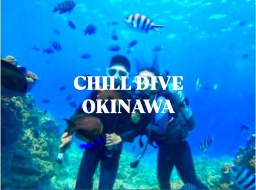 CHILL DIVE （チルダイブ） のギャラリー