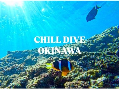 CHILL DIVE （チルダイブ） のギャラリー