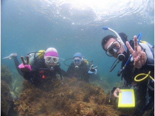 トリトンダイビングリゾート(ToriTon Diving Resort) のギャラリー