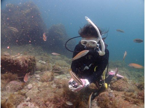 トリトンダイビングリゾート(ToriTon Diving Resort) のギャラリー