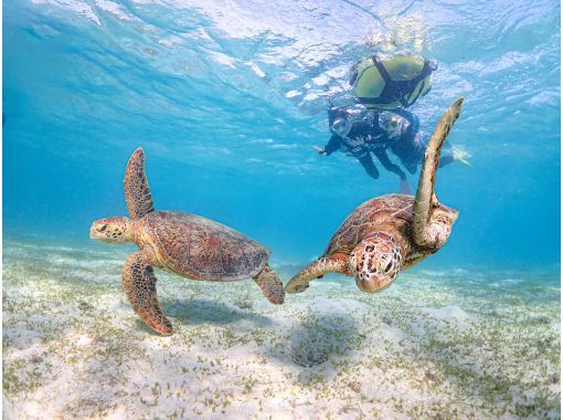 宮古島マリンショップSmiley のギャラリー