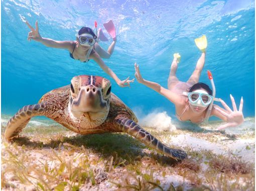 宮古島マリンショップSmiley のギャラリー