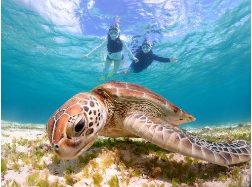 宮古島マリンショップSmiley のギャラリー