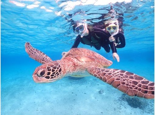 宮古島マリンショップSmiley のギャラリー