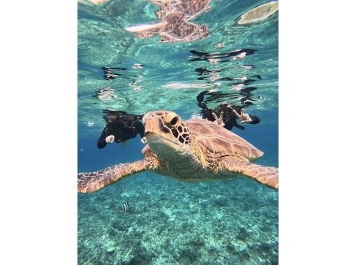 RUANOA 石垣島 のギャラリー