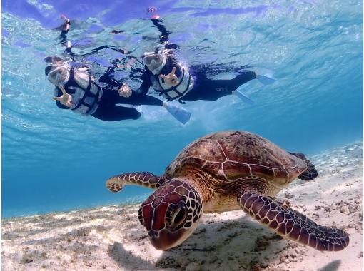 宮古blueまほろば のギャラリー