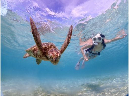 宮古blueまほろば のギャラリー