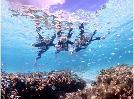 宮古blueまほろば のギャラリー