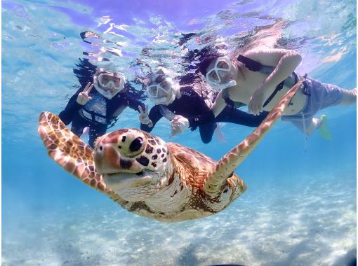 宮古blueまほろば のギャラリー