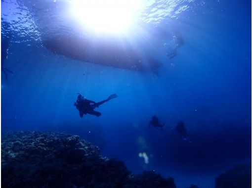 DIVINGSHOP eono のギャラリー