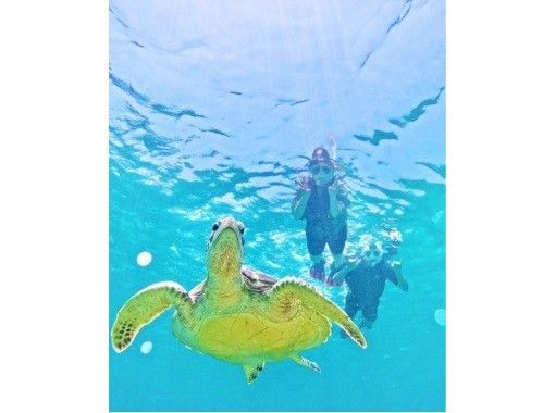 石垣島　ウミガメシュノーケル　マリンショップHAPPY のギャラリー