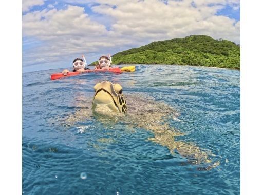 石垣島　ウミガメシュノーケル　マリンショップHAPPY のギャラリー